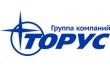 Торус